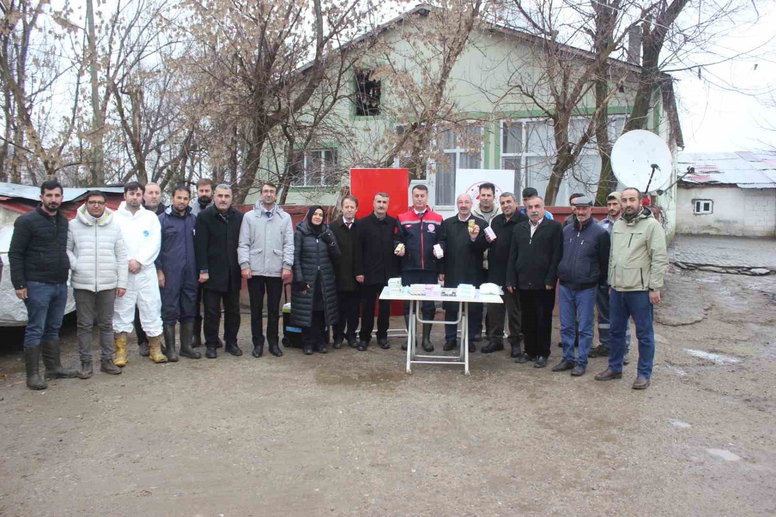 Muş’ta aşılama ile buzağı ölümlerinin azaltılması hedefleniyor
