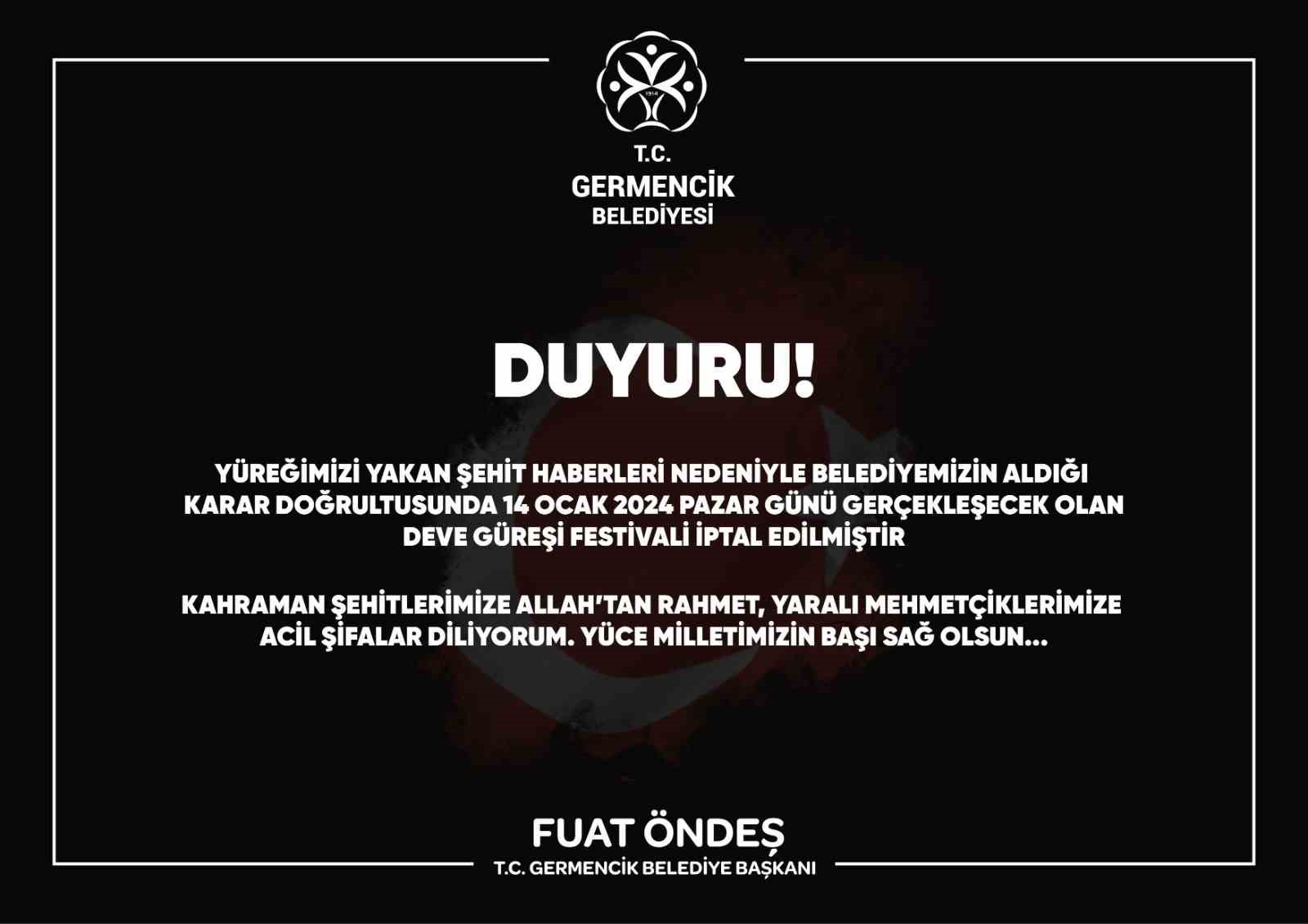 Germencik Deve Güreşi Festivali iptal edildi