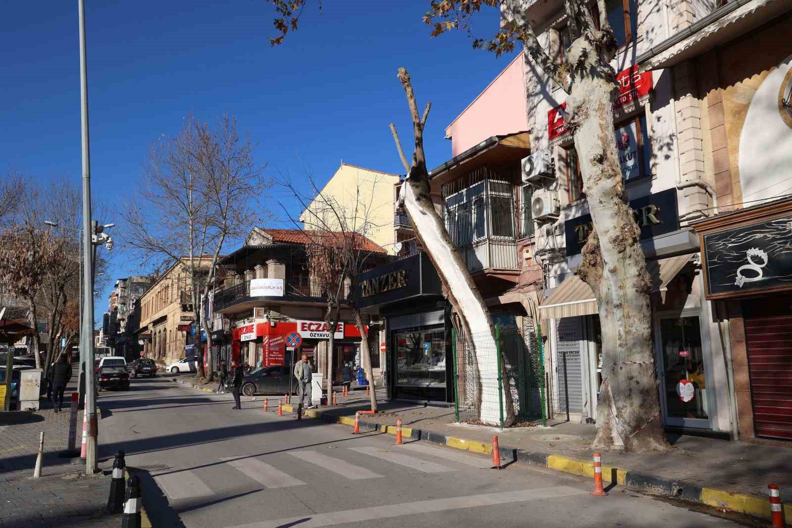 Uşak’ta 100 yıllık çınar ağacı bakımdan geçti
