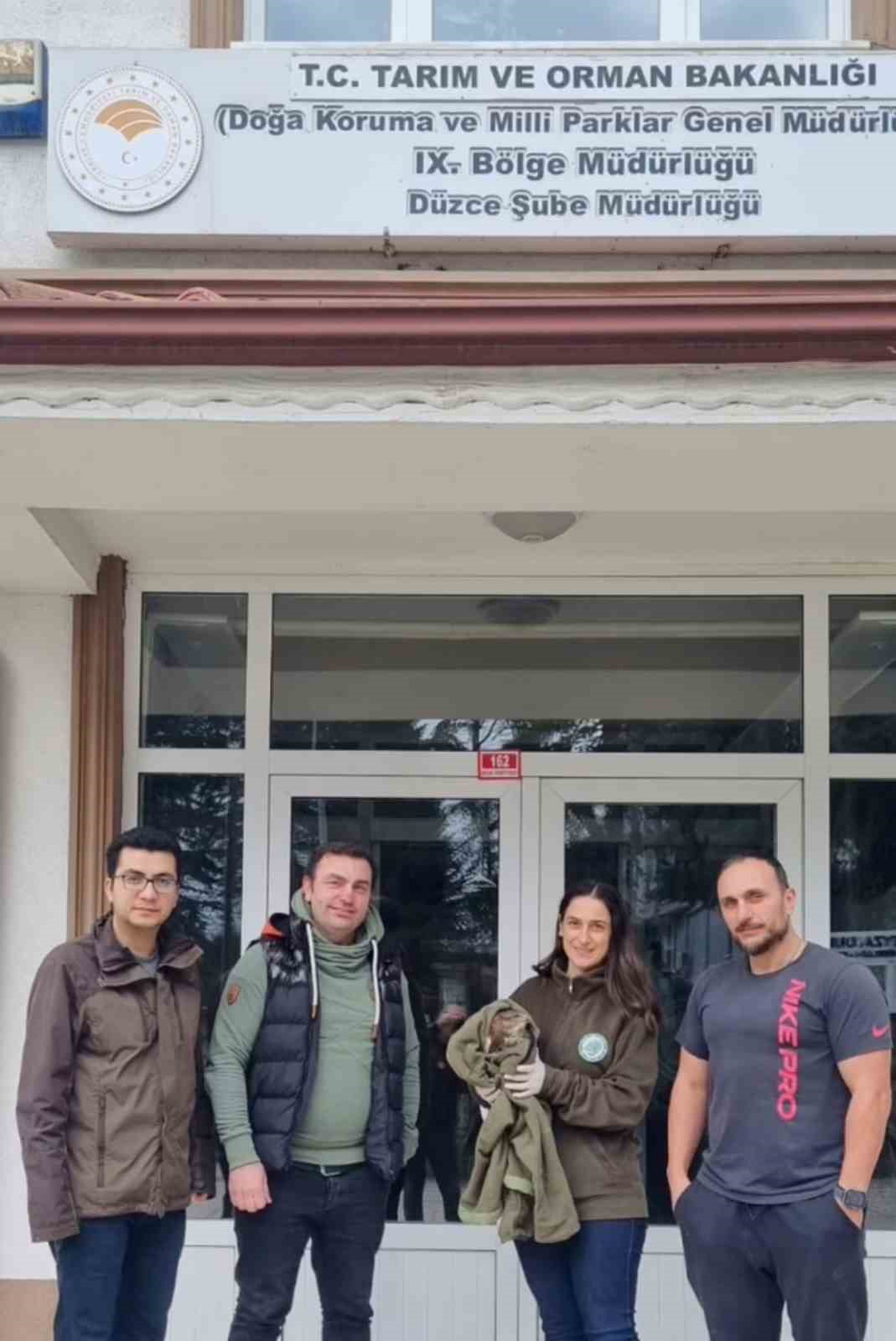 TEM&rsquo;de şahin kurtarma operasyonu
