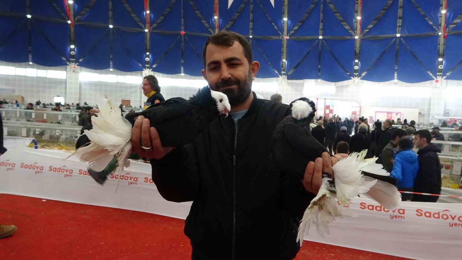 7. Ulusal Kümes Hayvanları Gösterisi’nde bin 500’ün üzerinde süs tavuğu ve kanatlı hayvan görücüye çıktı
