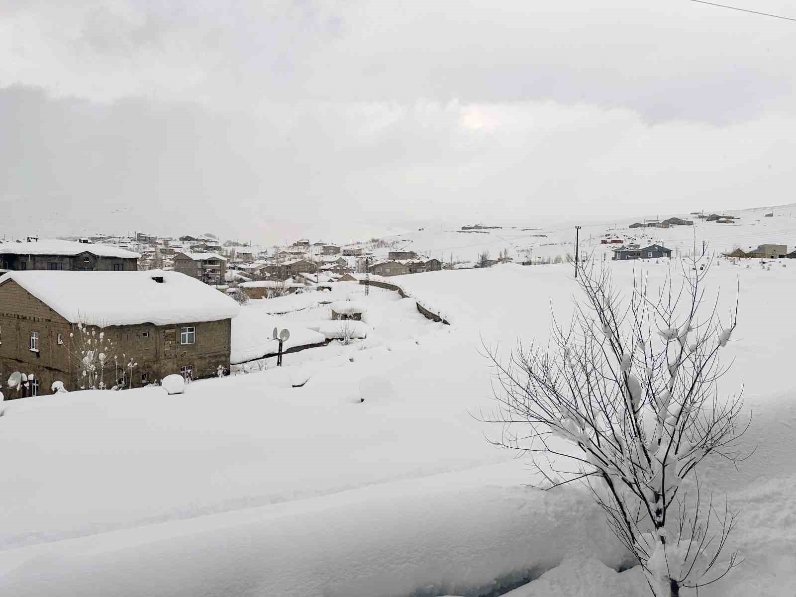 Gezgin öğretmenin kadrajından kar manzaraları
