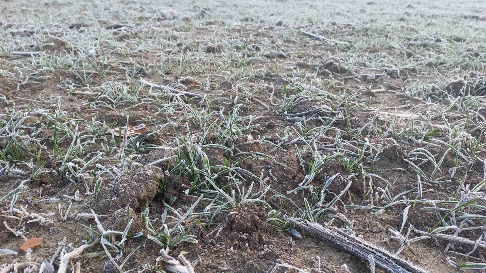 Edirne&rsquo;de tarım arazileri buz tuttu
