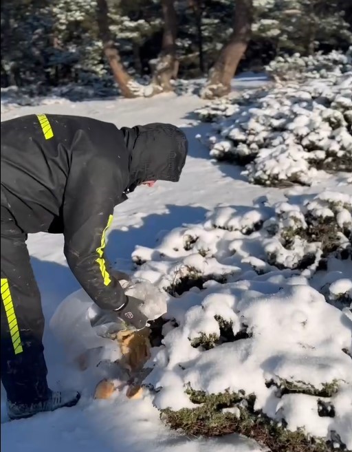 ATV tutkunları yaban hayvanlarını unutmadı

