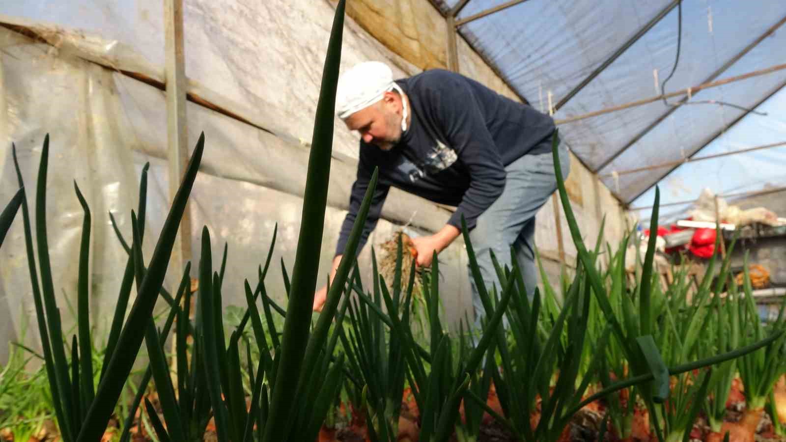 Hobi i&ccedil;in başladı, ek gelir kapısı oldu
