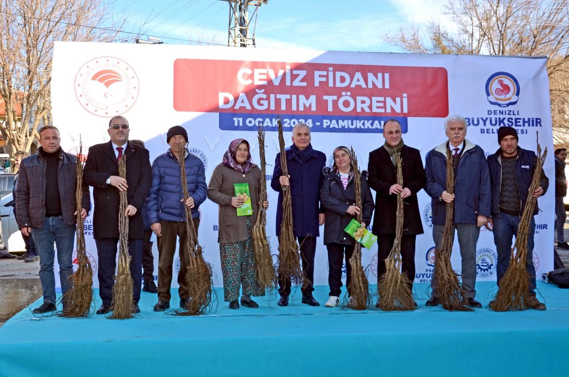 Denizli, Türkiye’nin ceviz üretim merkezi olma yolunda ilerliyor