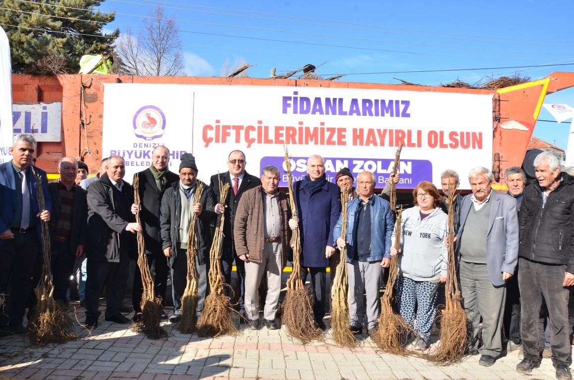 Denizli, Türkiye’nin ceviz üretim merkezi olma yolunda ilerliyor