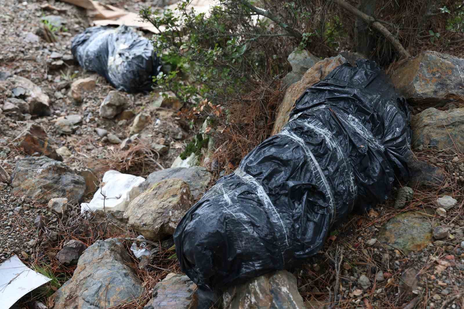 İzmir’de çöp poşetleri içerisinde köpek ölüleri bulundu