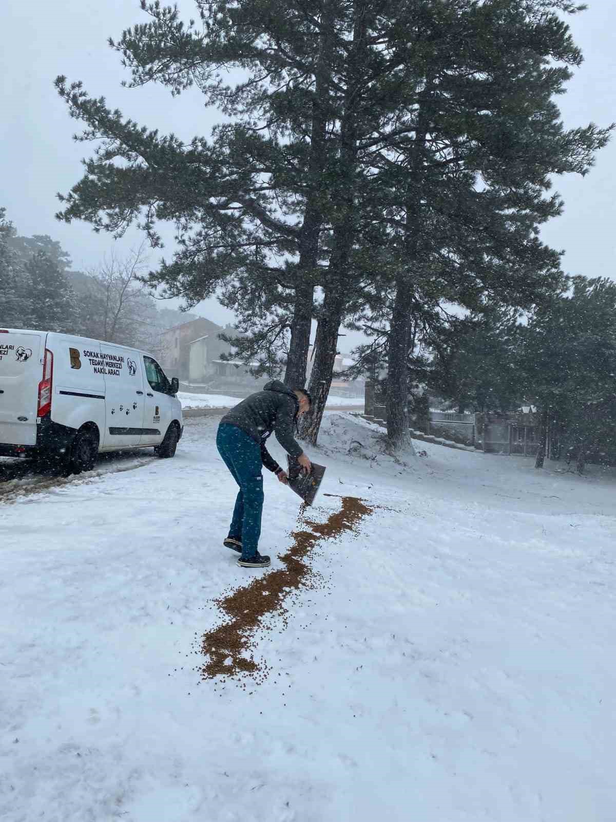 Zorlu kış şartlarında sokak hayvanlarına destek
