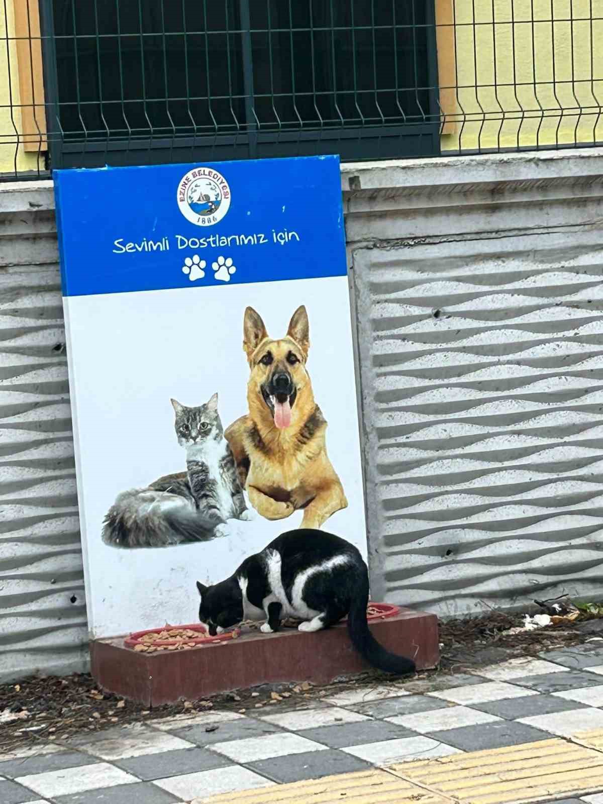 Ezine Belediyesi Zabıta M&uuml;d&uuml;rl&uuml;ğ&uuml;&rsquo;nden &ouml;rnek davranış: Soğuk kış g&uuml;nlerinde can dostları unutulmadı
