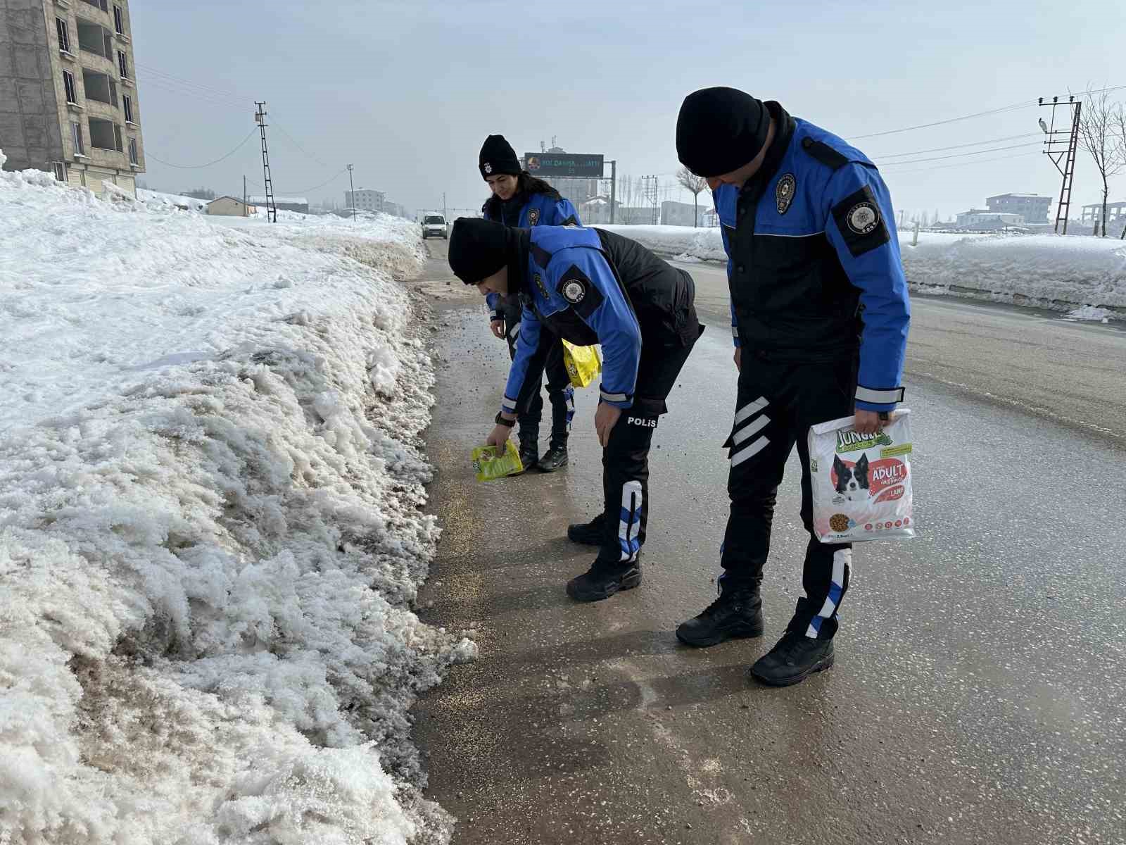 Y&uuml;ksekova polisi hayvanlar i&ccedil;in doğaya yem bıraktı
