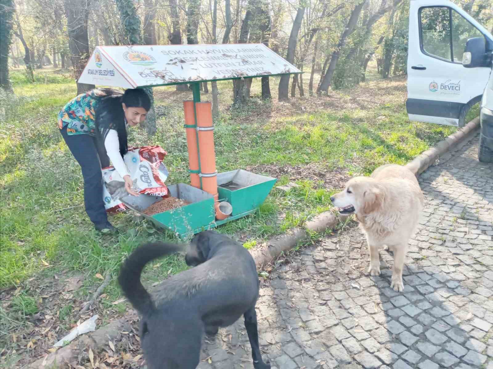 Atakum’da patili dostlara destek
