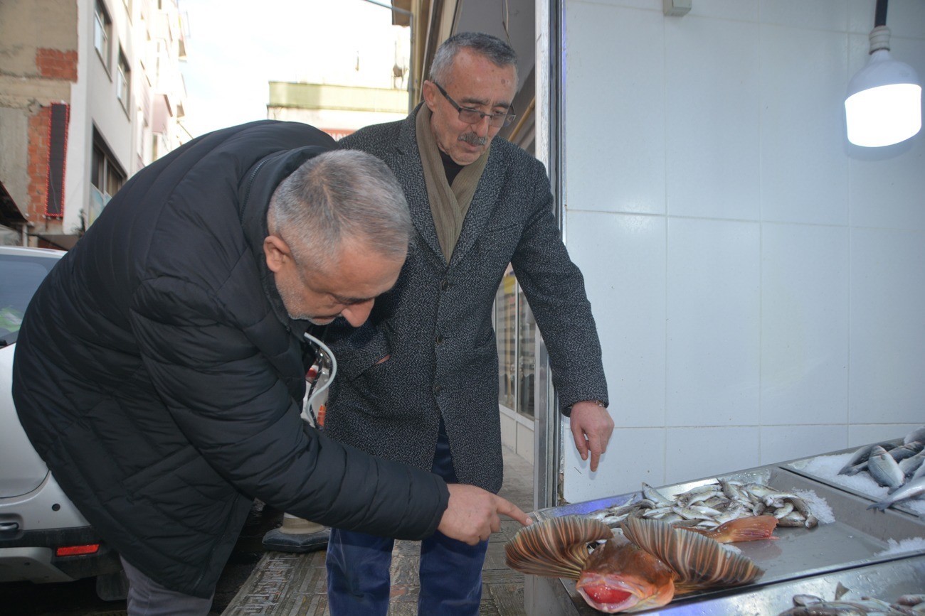 Sinop’ta 4 kiloluk kırlangıç balığı yakalandı 
