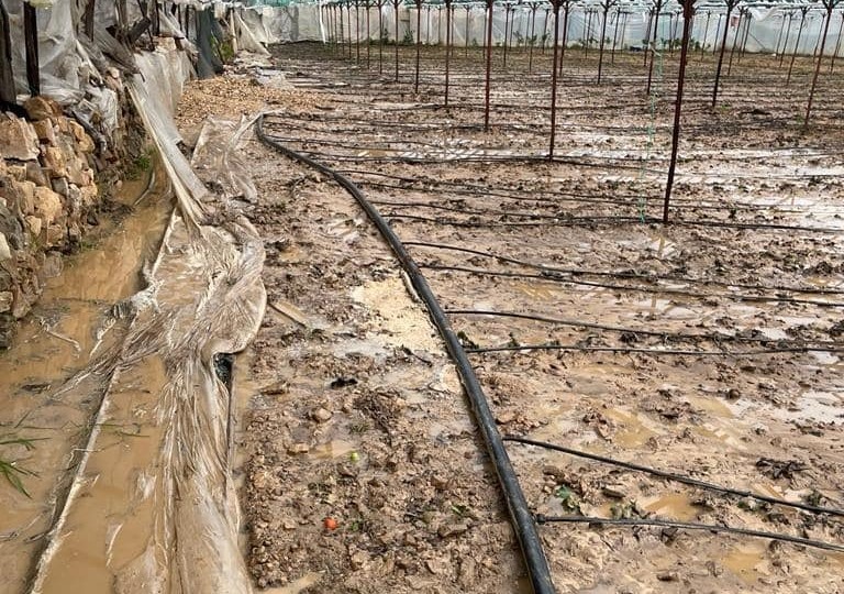 Alanya’da sağanak yağış sera ürünlerine hasar verdi
