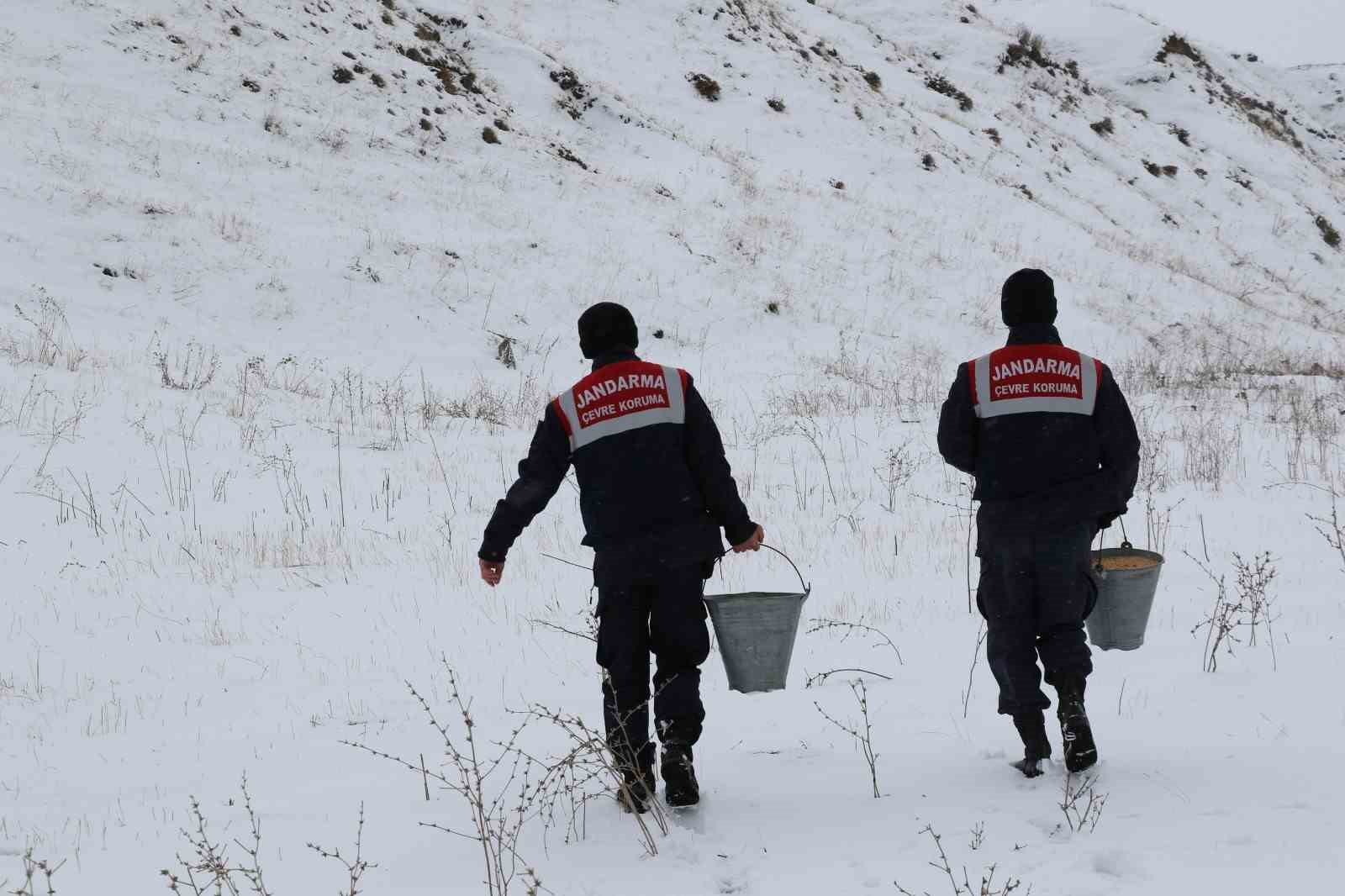 Ağrı&rsquo;da yaban hayvanları unutulmadı
