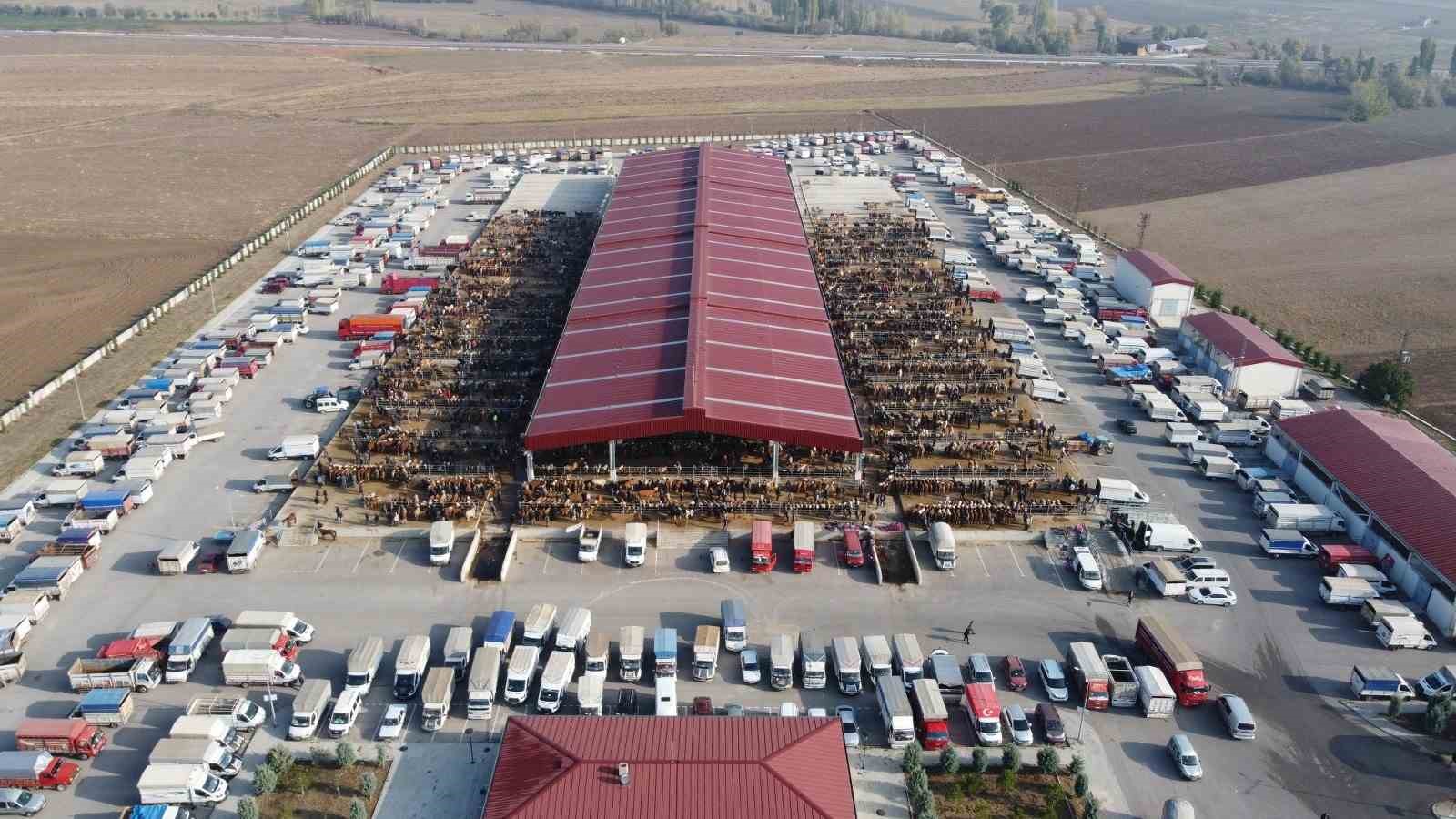 Çorum’da hayvan pazarı geçici olarak kapatıldı
