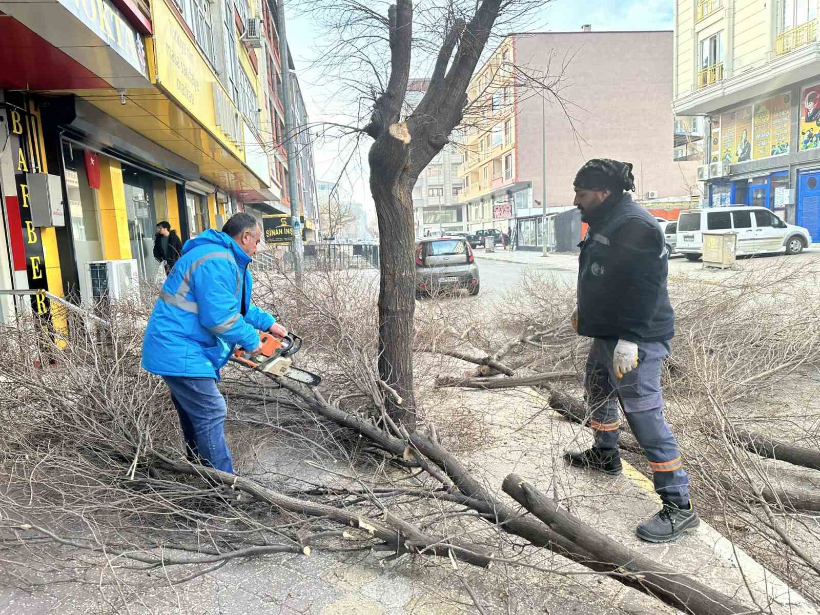 Iğdır’da ağaç budama çalışmaları devam ediyor