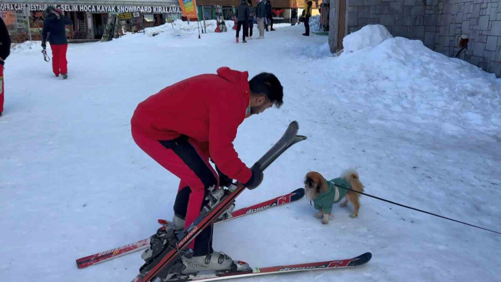 (Özel) Profesyonel kayakçı ve köpeğin çarpışması kameraya böyle yansıdı