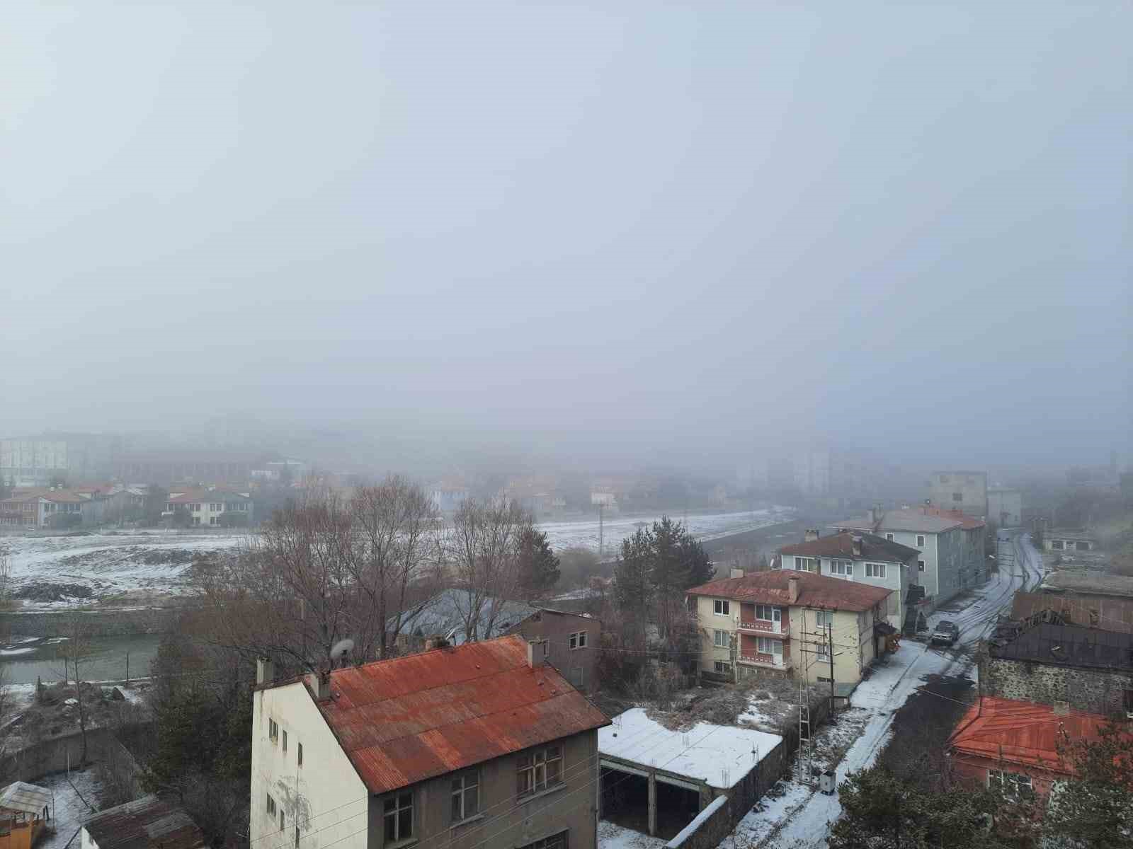 Kars’ta yoğun sis
