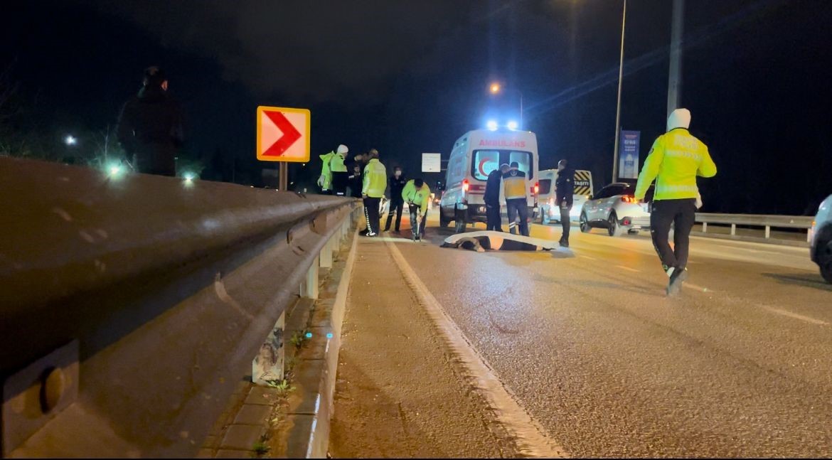 Şiddetli rüzgarın etkisiyle savrulan motosikletli hayatını kaybetti