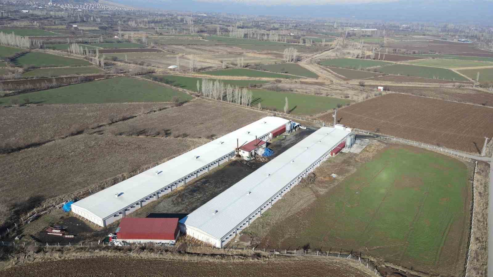 Erzincan’da broiler sektörü gelişiyor
