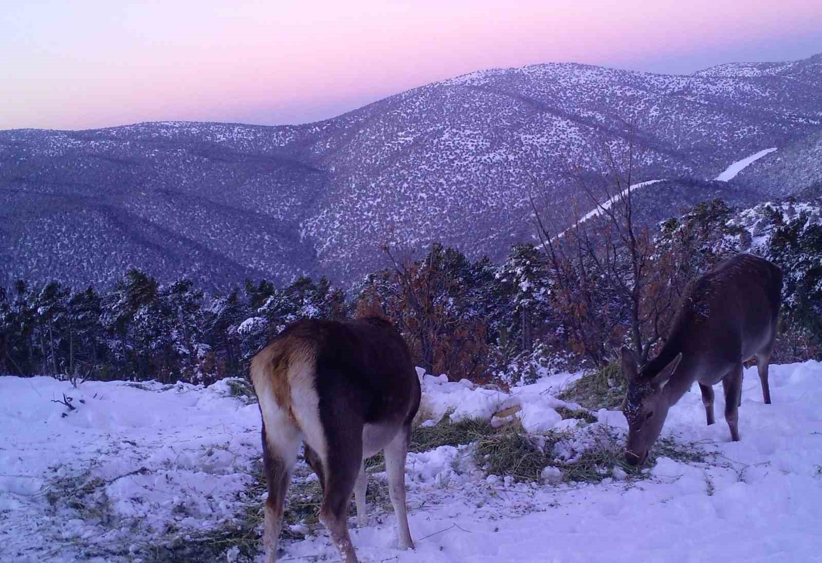 Ege’nin 2. en yüksek dağı Akdağ, Milli Park ilan edildi
