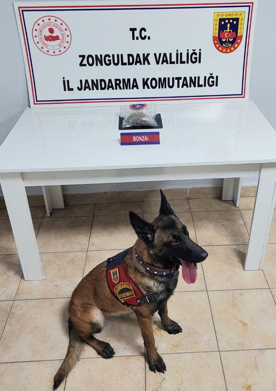 Zonguldak&rsquo;ta uyuşturucu operasyonunda 2 ş&uuml;pheli tutuklandı
