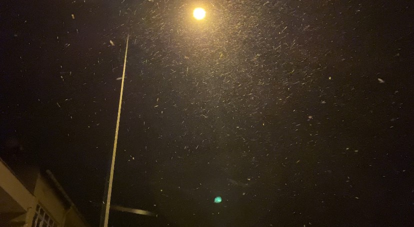 Uzunköprü’de kar yağışı ilçeyi beyaza bürüdü