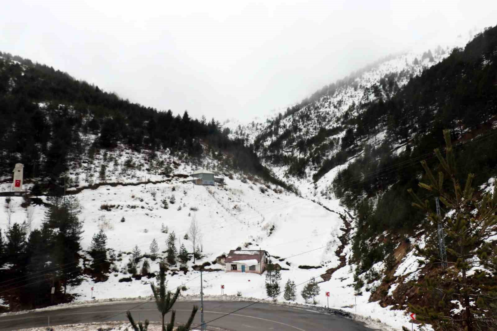 &Ccedil;ığ kurbanları Zigana Dağında anıldı
