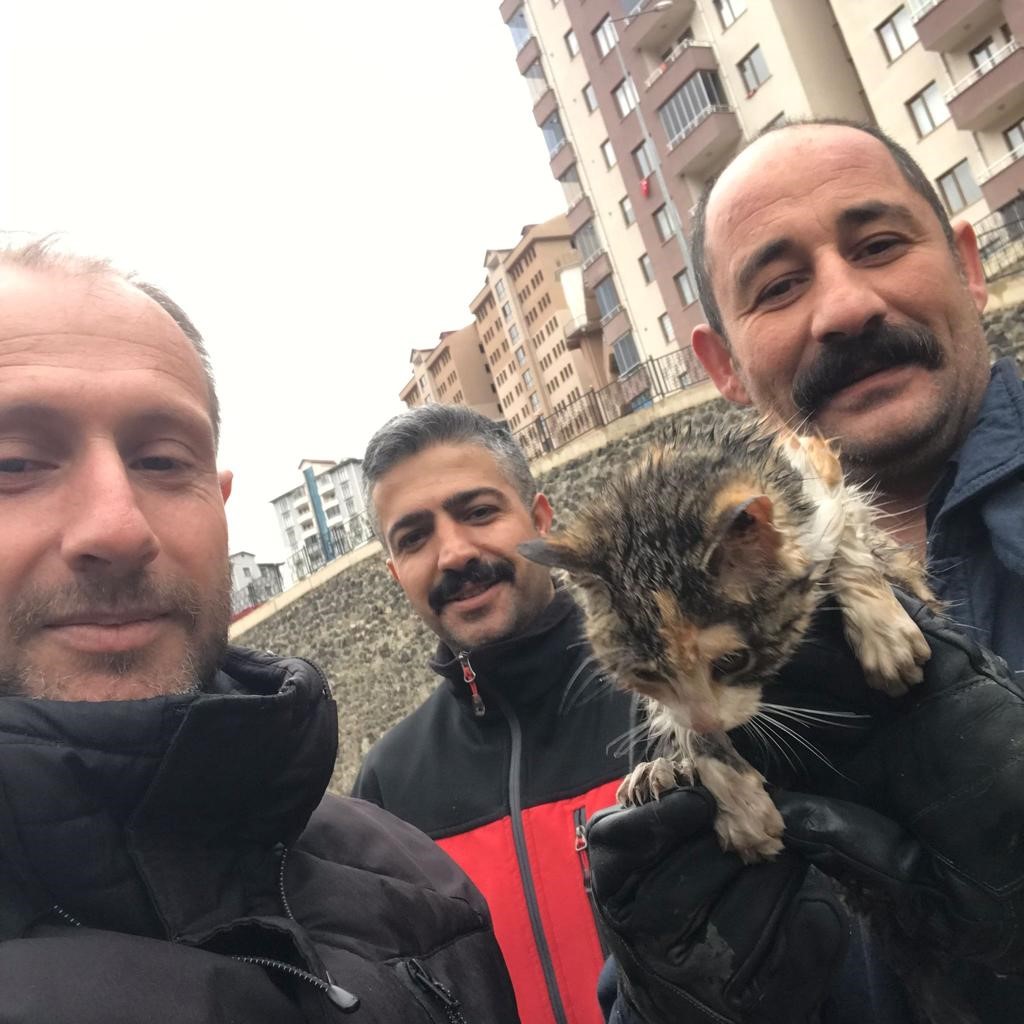 Harşit Çayı’na düşen yavru kediyi itfaiye ekipleri kurtardı