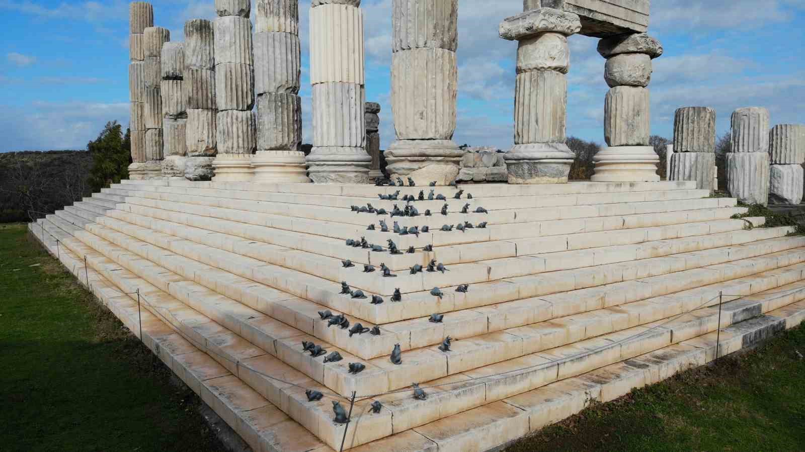 (Özel) ’Apollon Smintheus Tapınağı’nda ziyaretçileri fareler karşılıyor