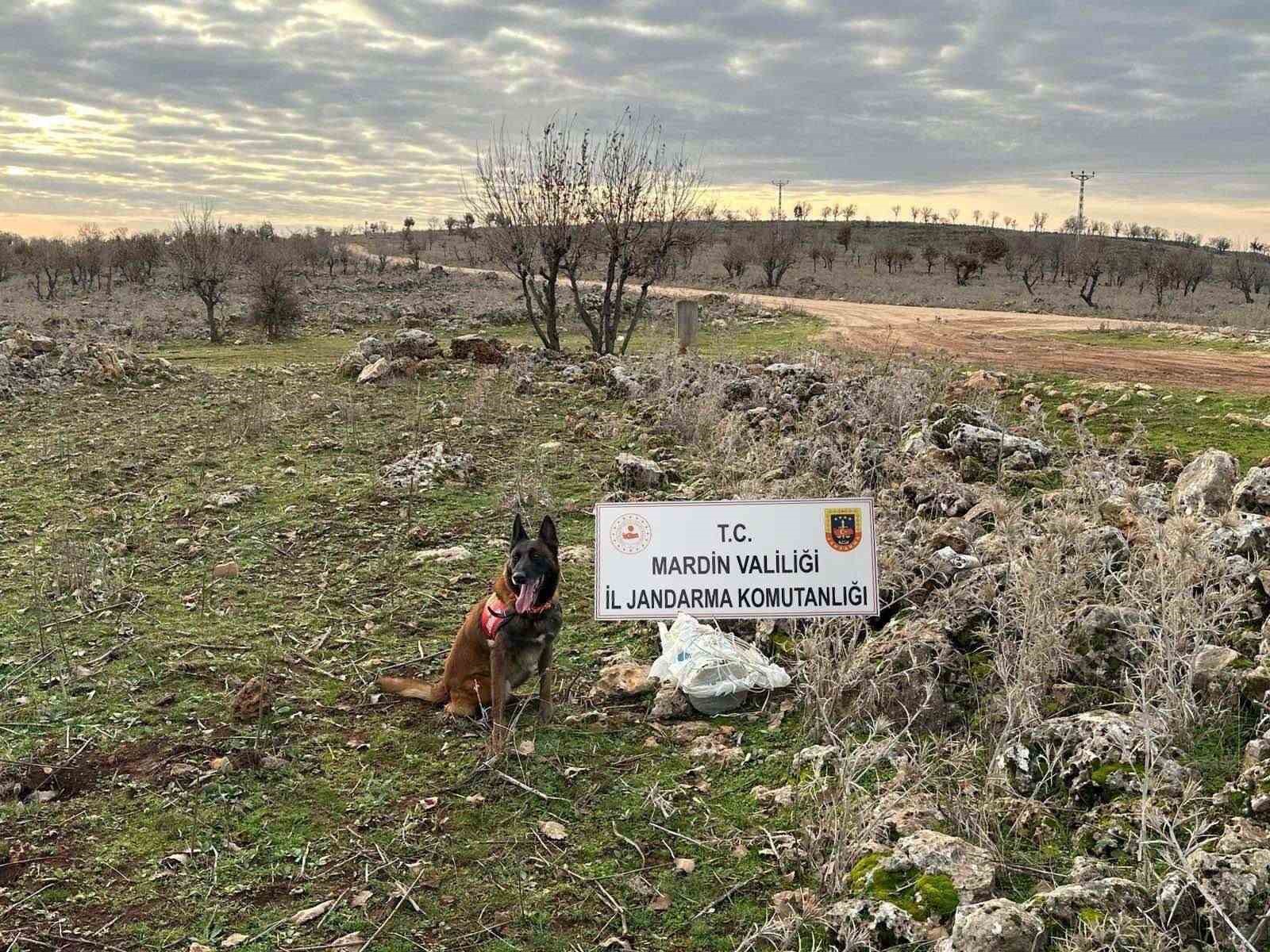 Mardin’de jandarmanın dikkati hain tuzağı bozdu