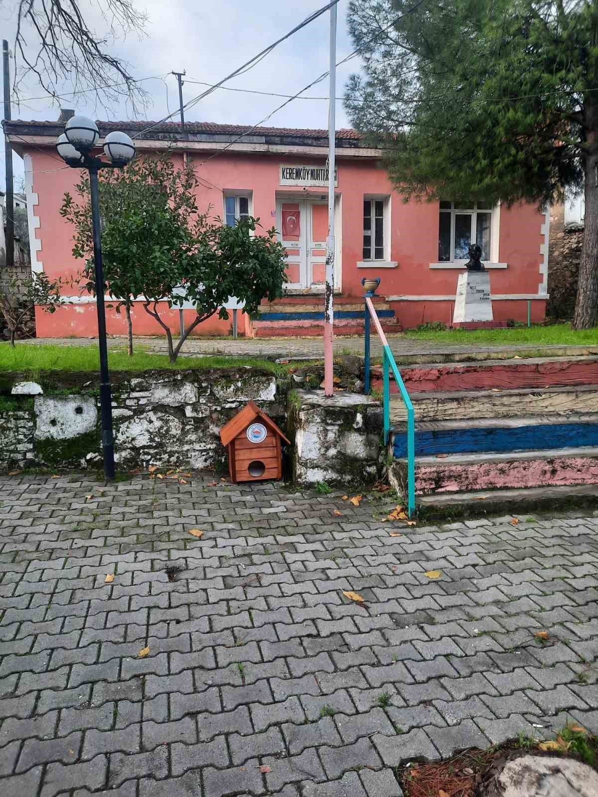 Gömeç’te sokak kedilerine, kedi evi