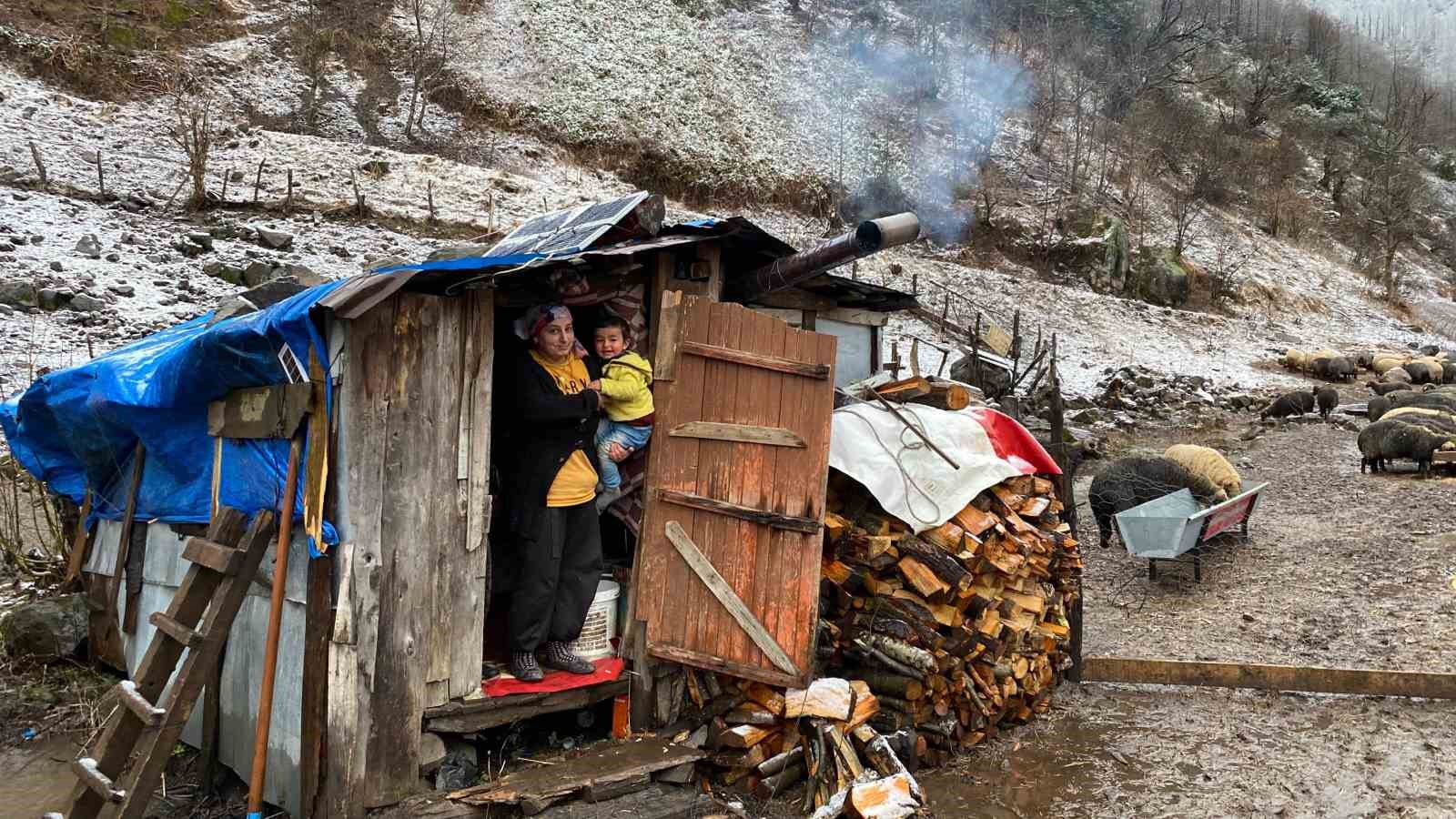 Artvin’de küçükbaş hayvanlarda çiçek hastalığı alarmı
