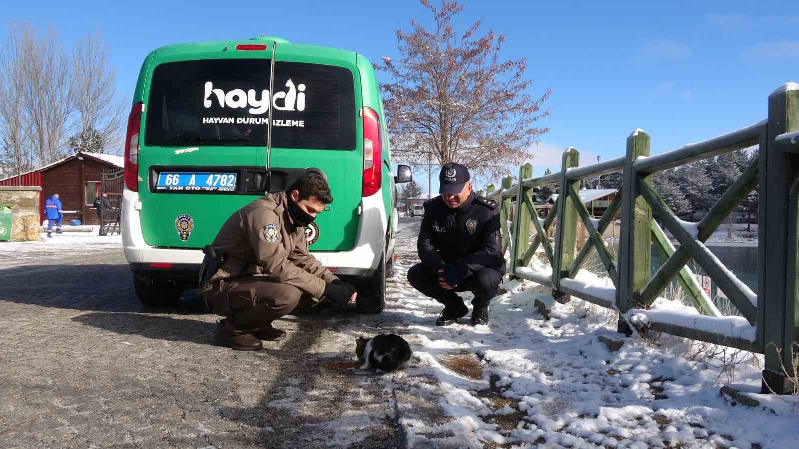 Yozgat’ta polis ekipleri sokak hayvanlarını unutmadı