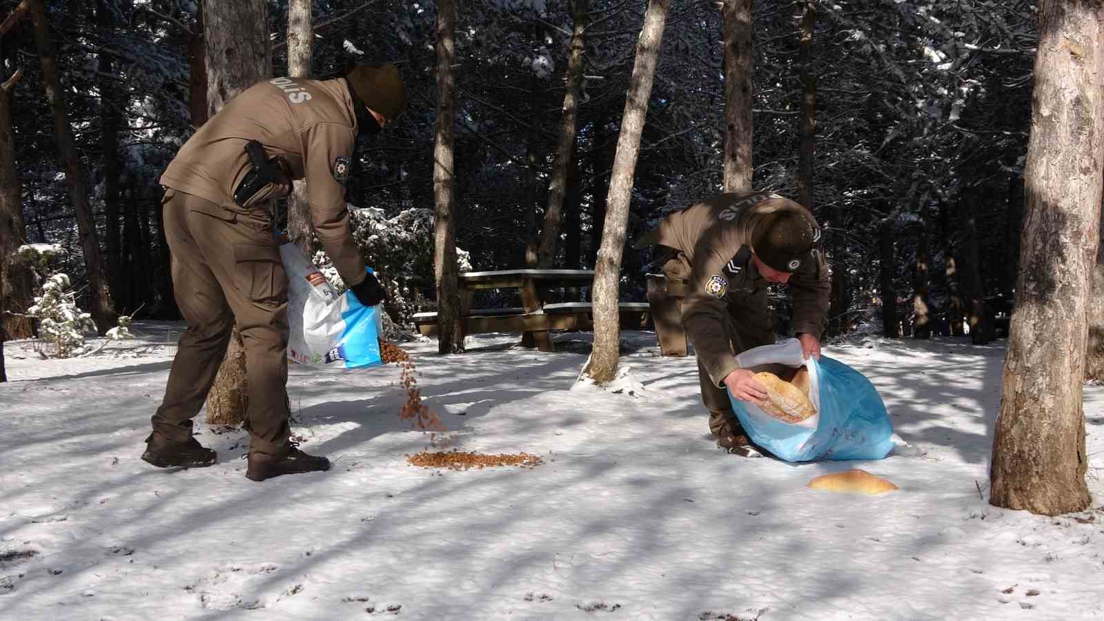 Yozgat’ta polis ekipleri sokak hayvanlarını unutmadı