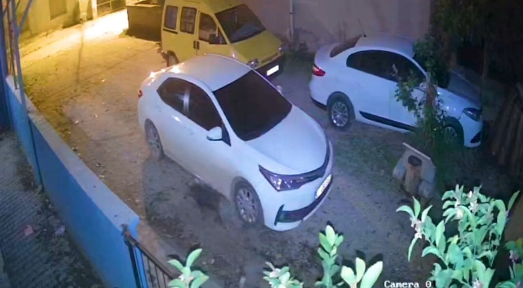 Domuz yavrusu evin g&uuml;venlik kamerasına yansıdı
