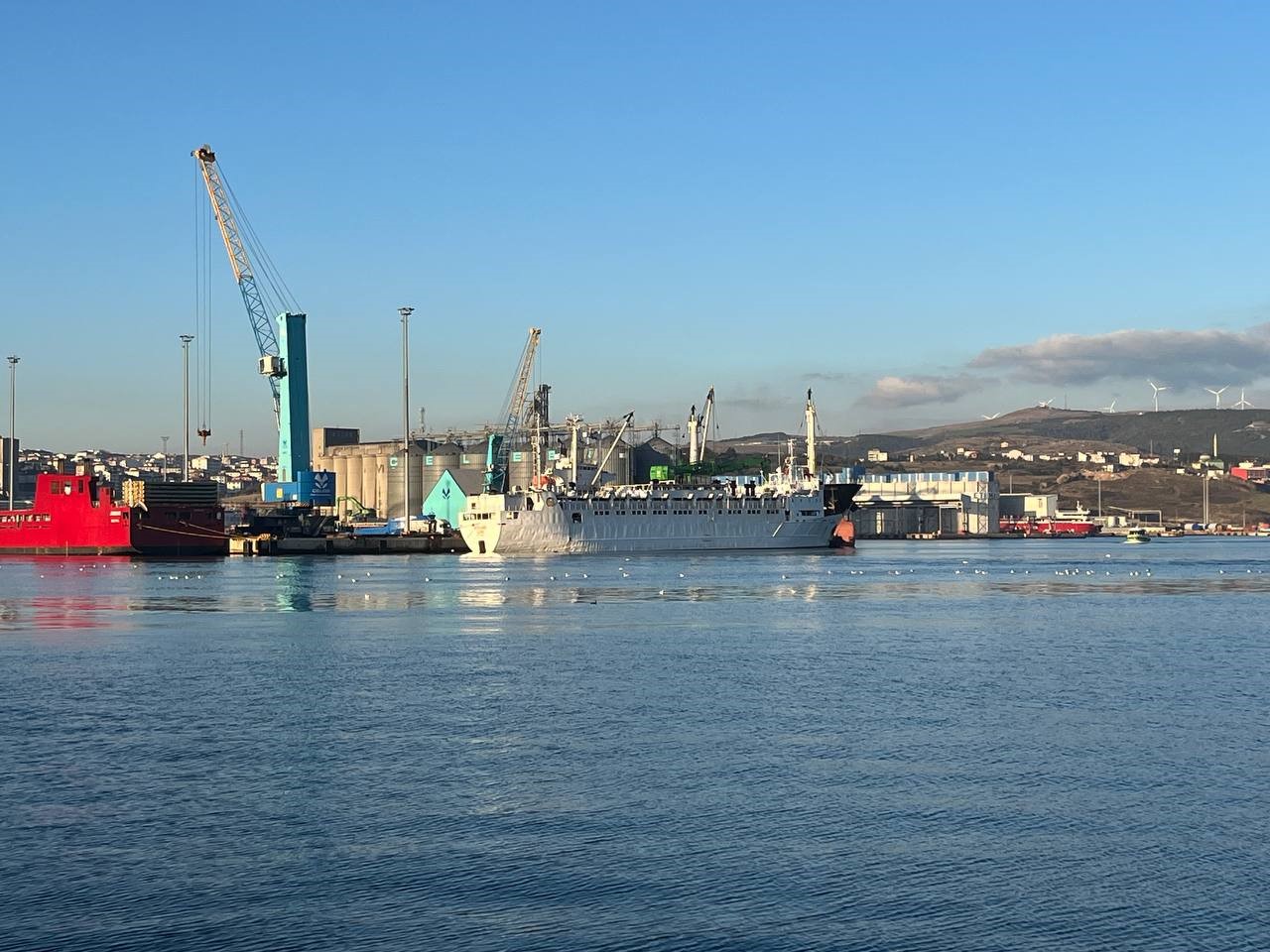 2024&rsquo;&uuml;n ilk y&uuml;zen ahırı Bandırma&rsquo;da
