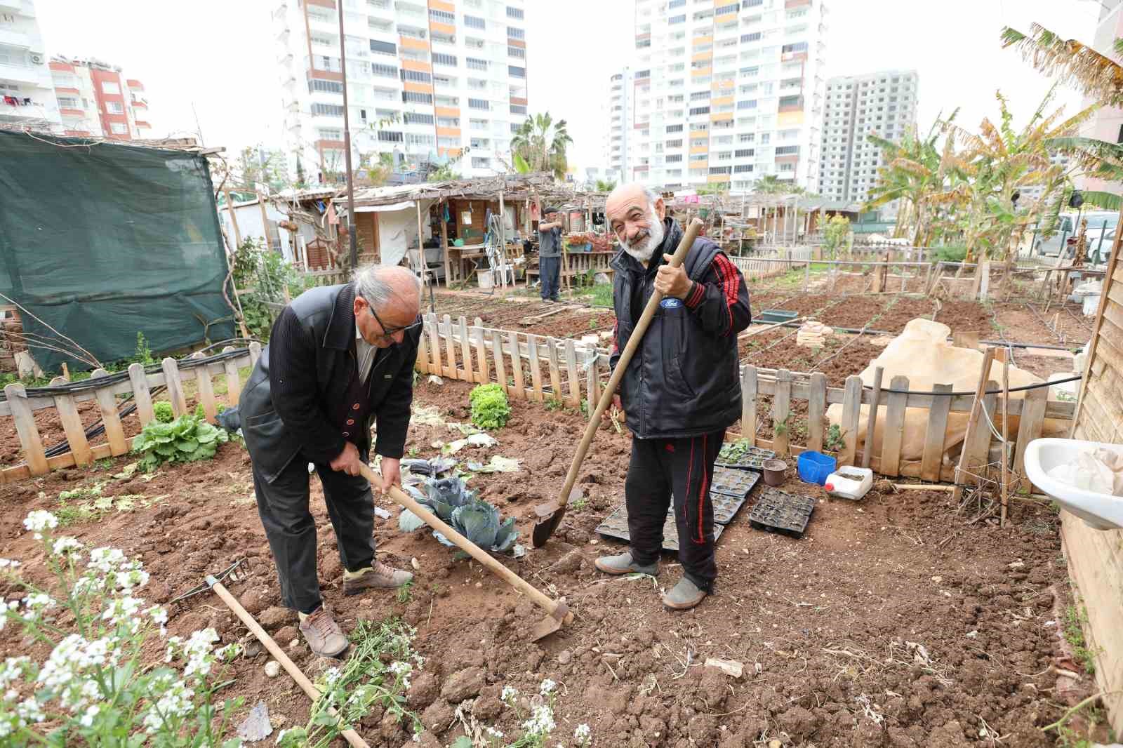 Mezitli’nin ’Hobi Bahçeleri’ne büyük ilgi