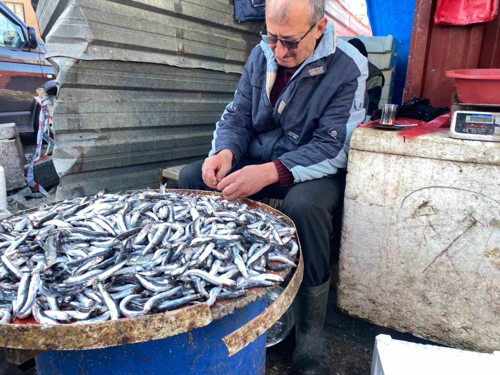 Balık tezgahlarında istavrit bolluğu yaşanıyor