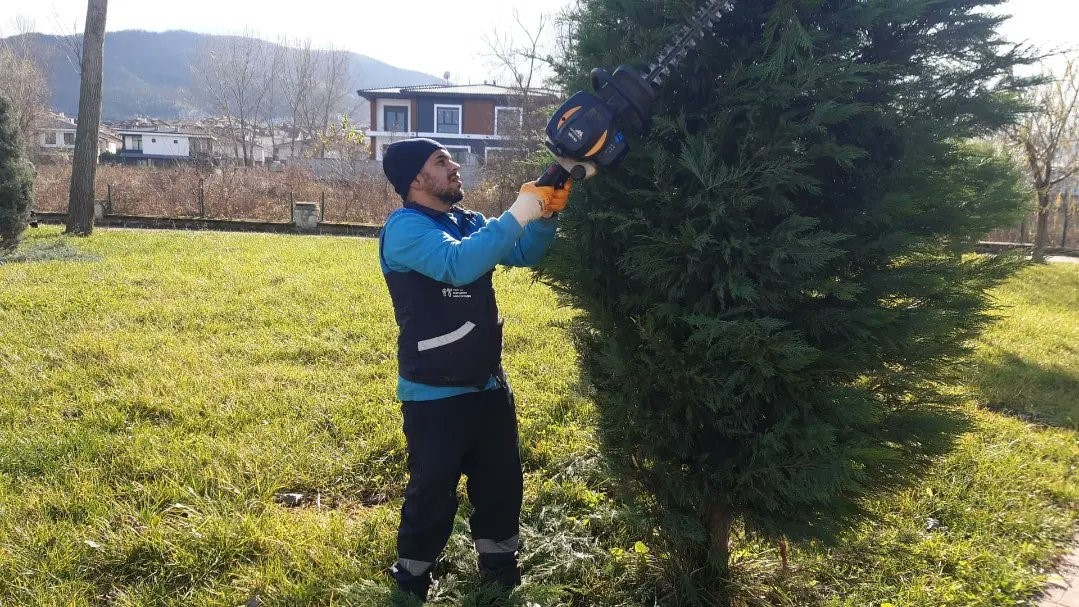 Olumsuz hava şartlarına karşı ağaçlar budanıyor
