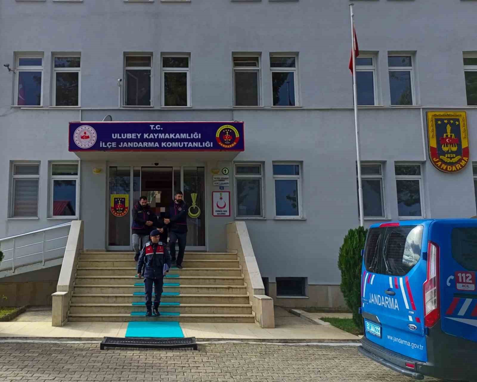 Ordu’da 100 bin TL’lik fındık çalan şüpheli yakalandı