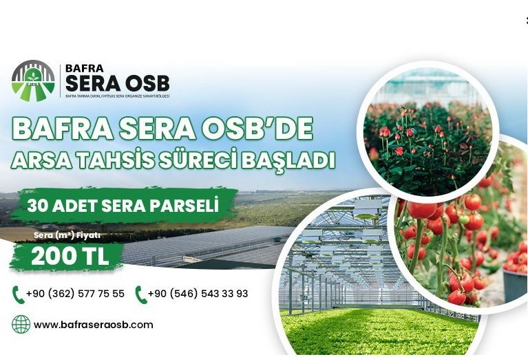 Bafra TDİ Sera OSB’de arsa tahsis süreci başladı
