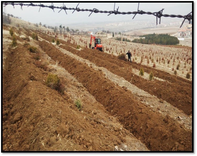 Amasya’da ormancılık faaliyetlerine 152 milyon TL’den fazla yatırım yapıldı
