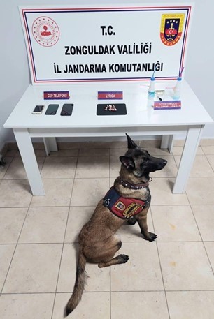 Zonguldak&rsquo;ta &ccedil;ok sayıda uyuşturucu hap ele ge&ccedil;irildi
