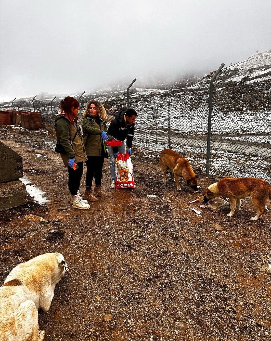 Şırnak&rsquo;ta sokak hayvanları unutulmadı
