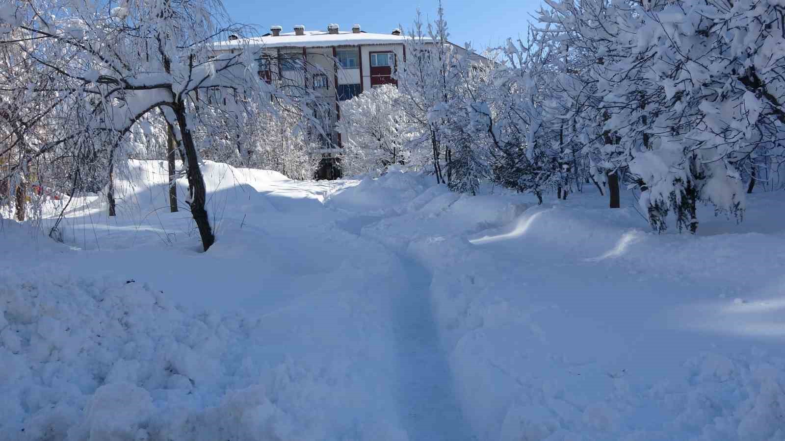 Bitlis’te 213 köy yolu ulaşıma açıldı
