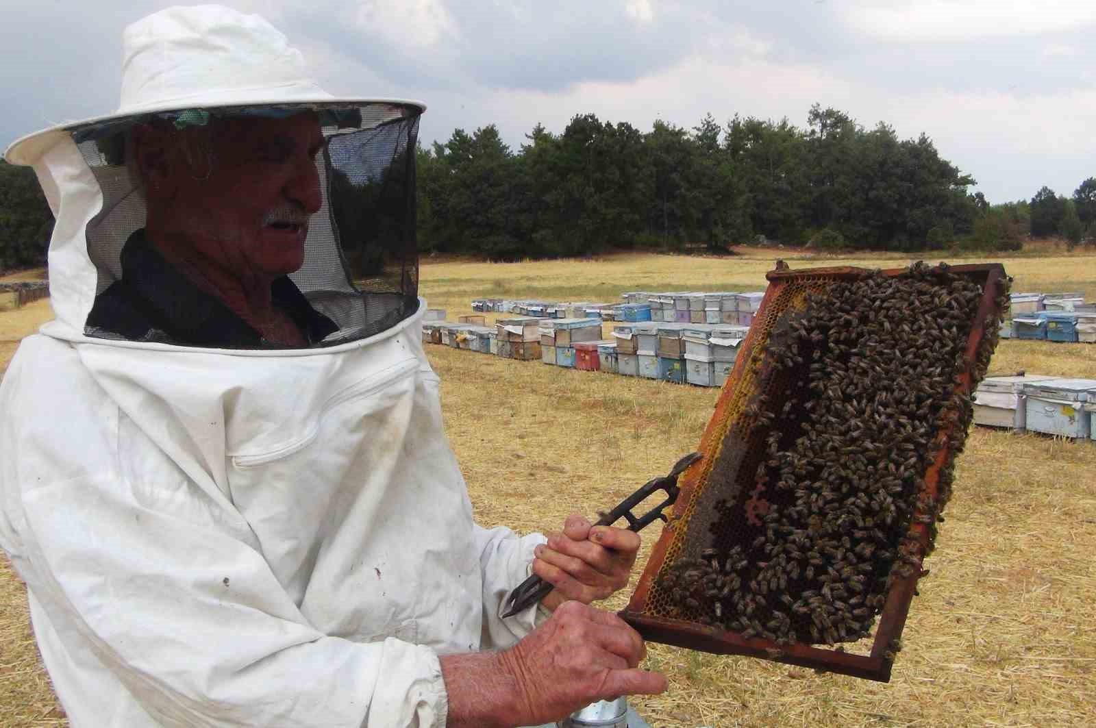 Dünya Çam balının merkezine ‘Arıcılık Enstitüsü’ için kanun teklifi
