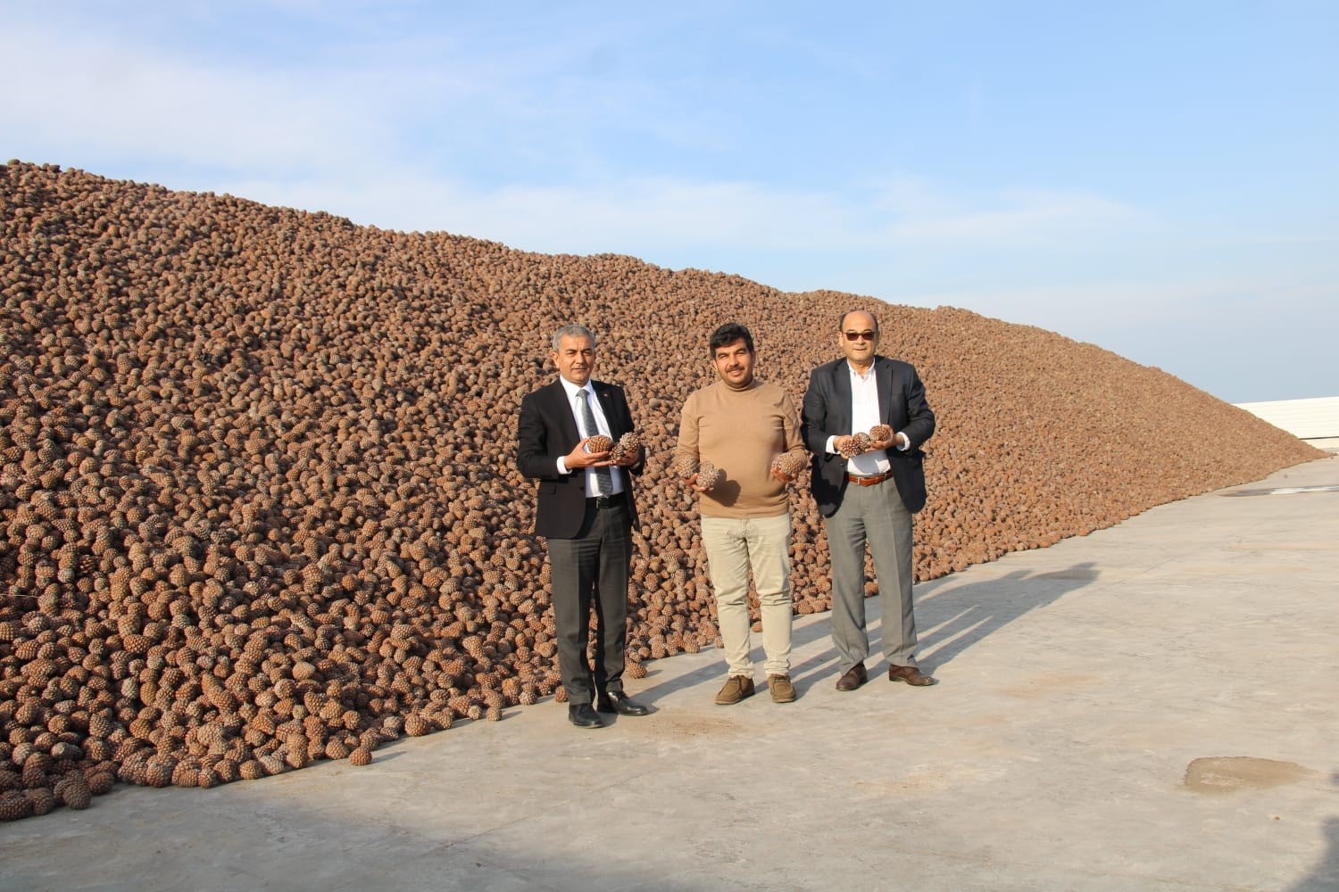 Koçarlı Türkiye’nin künar deposu haline geldi