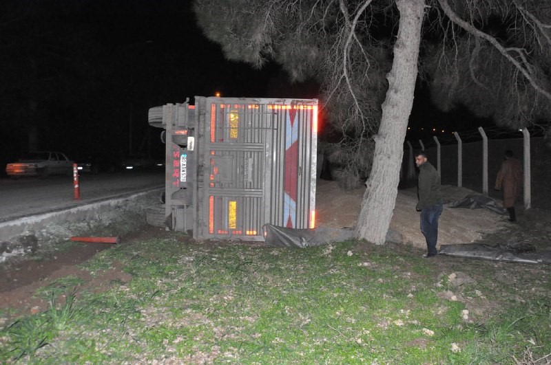 Şanlıurfa’da buğday yüklü tır devrildi: 1 yaralı